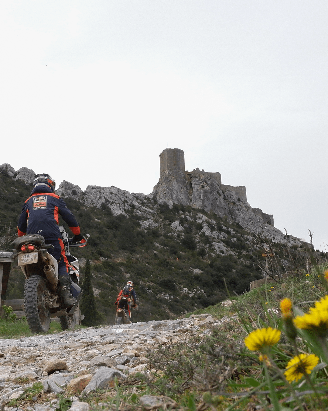 Raid moto
